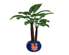 SS The Mets Plant