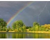 Raining Rainbow Window 1