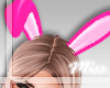 MD♛Bunny Pink Ears