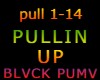 PULLIN UP