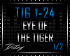 {D Eye of the Tiger P1