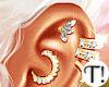 T! Kim Earrings Gold