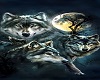 Cutout Wolf
