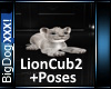 [BD]LionCub2+Poses