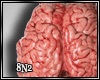[8N2] Otak Real