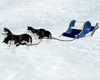 Polar Husky Sleigh Ride