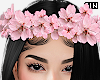 ▸ Cherry Blossom Crown