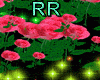 Rose Light Effects