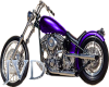 JVD Purple Bike-L