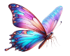 [TSA] Butterfly cutout
