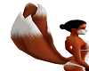 [Cyn]Red Fox tail
