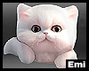 Emi Sweater + Kitten