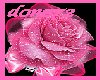 pink glitter rose