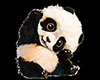Cute Baby Panda Cutout M