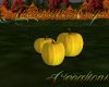 (T)Fall Pumpkins2