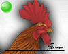 Rooster Pet F