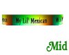 My lil' Mexican banner