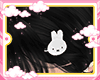 KID♡ Miffy Clips