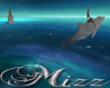 !Mizz Bini Dolphin Ride