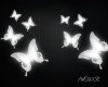 Butterfly1