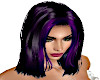 Angelica Dark Purple