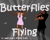 ! Butterflies ~ Flying