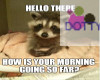 hows your morning