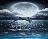 Blue Majestic Dolphin