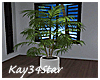 Hideaway Potted Plant