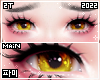 Eyes | Soft 2T gold