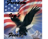 Freedom Isnt Free