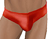 Red Speedo Swimsuit