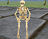 Skeleton avatar