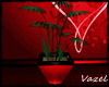 -V- Valentine Plant