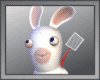 RD|Funny Rabbit VocieBox