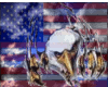 Eagle N american flag