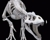 WL Animated Dino Skeleto