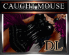 [DL]caught a mouse
