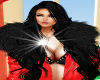 stelly