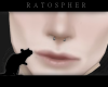 Banane Septum