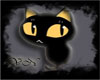 [VN] black cat