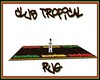 club tropical rug