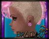 [B]pink punk earrings