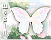 🐀 Butterfly White