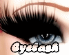 Q!Diva Eyelashes