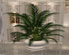 :G:Cozy Potted Plant