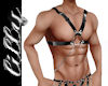 Chain harness 2