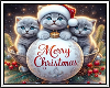 🎄 Xmas Kittens BG