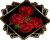 Ali-Red rose 10