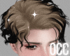 Occ. Shuji Mix